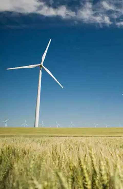 Colgate and Terracycle Partnership