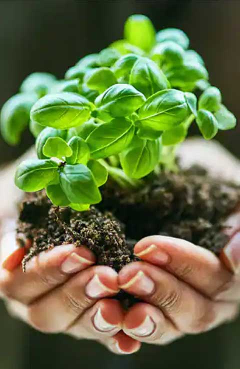 Responsibly Made Products