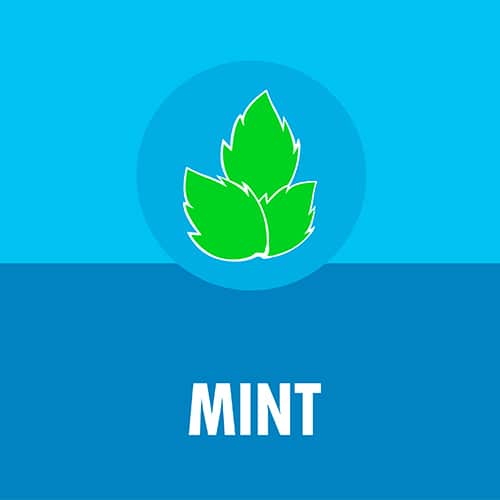 Mint